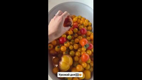 Оксана Самойлова VK Видео