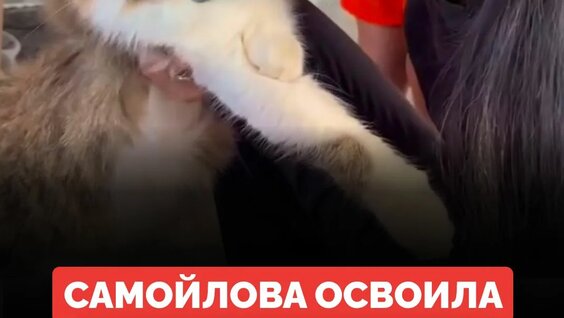 Оксана Самойлова Rutube