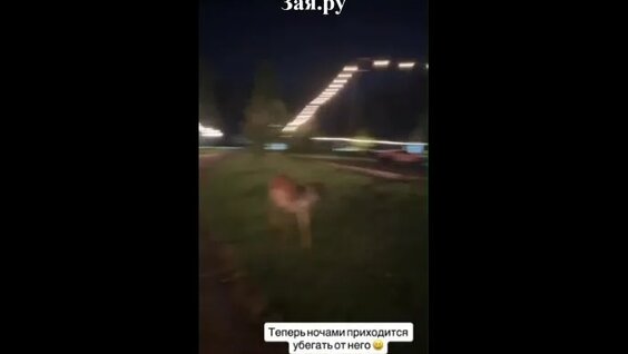 Оксана Самойлова VK Видео