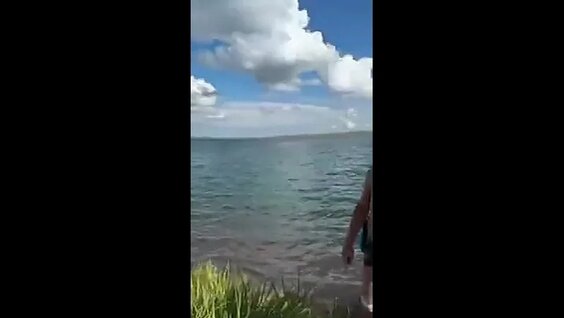 Олег Монгол VK Видео