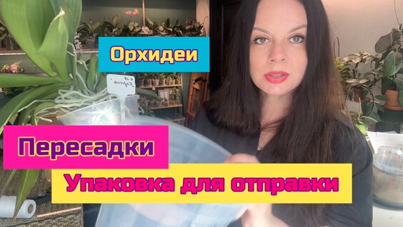 Ольга Орлова Rutube