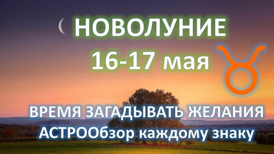 Ольга Сорокина Rutube