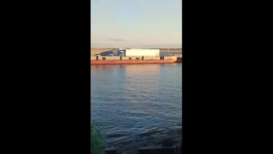 Пашу VK Видео