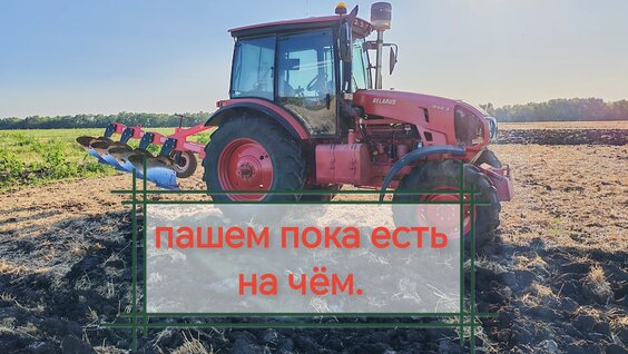 Пашу Rutube