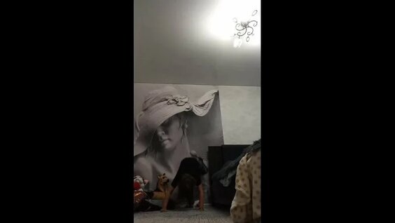 Пелагея VK Видео