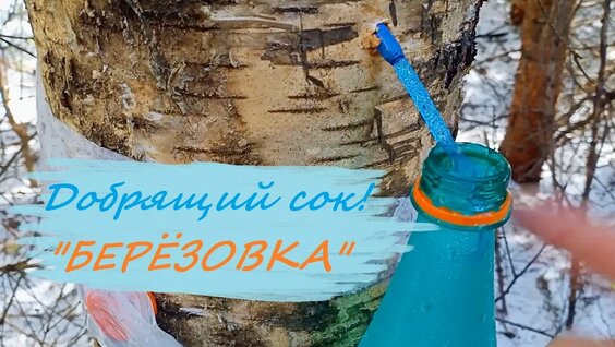 Песняры YouTube
