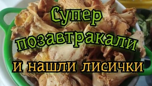 Пицца Дзен