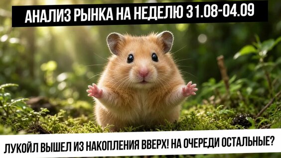 Платина Rutube
