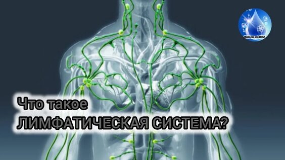 Познаватель VK Видео