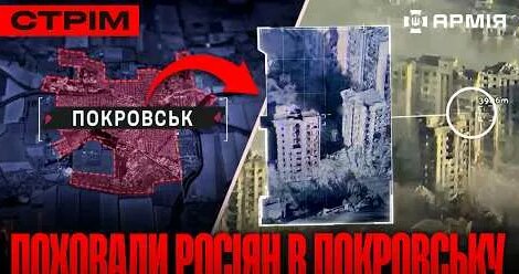 Птаха YouTube