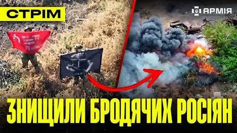 Птаха YouTube