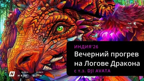 Птаха VK Видео