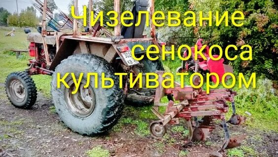 Рамиль Rutube