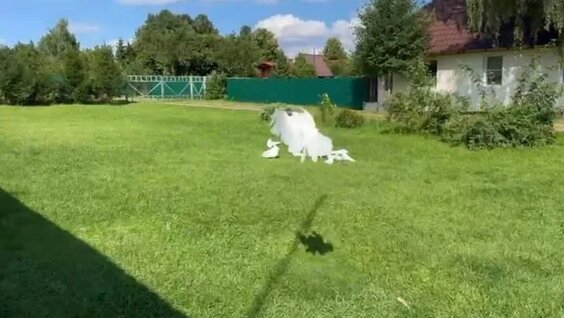 Рената Литвинова Rutube