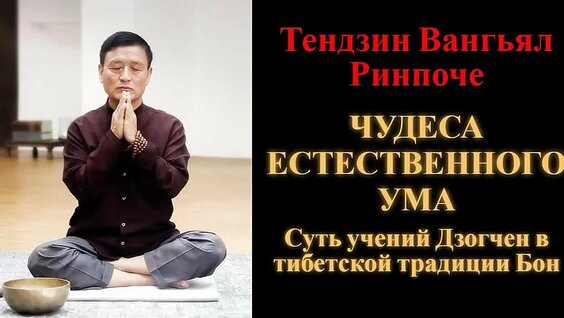 Ринпоче VK Видео