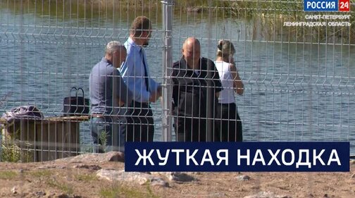 Роки Дзен