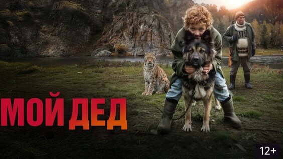 Роман Мадянов VK Видео