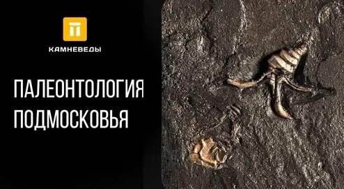 Самоцветы Дзен