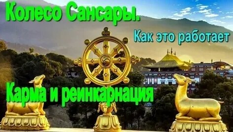 Сансара Дзен