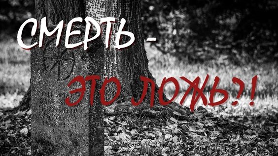 Секрет VK Видео
