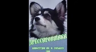 Семён Фарада VK Видео