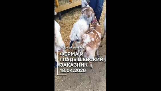 Сергей Ефремов VK Видео