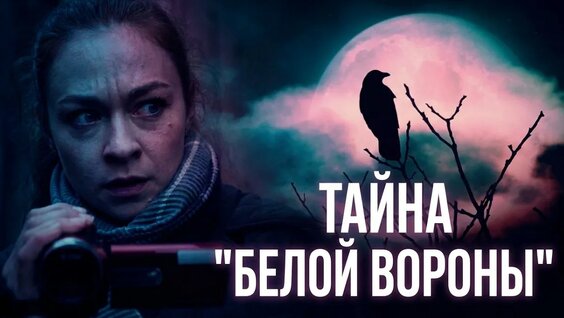 Сергей Ершов YouTube