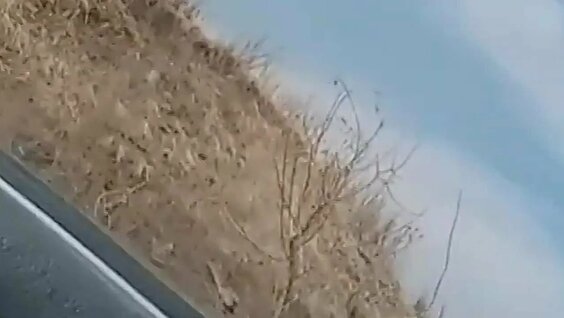 Сергей Федоров VK Видео