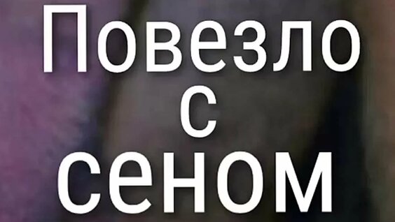 Сергей Федоров VK Видео