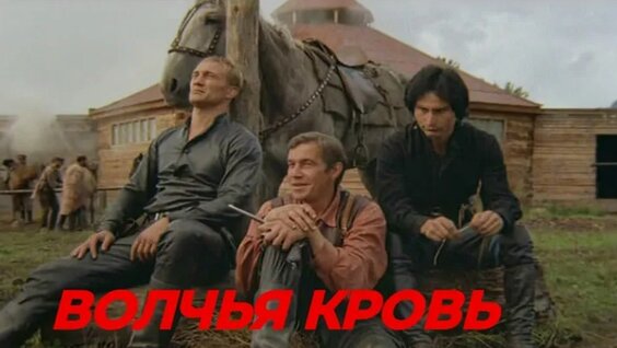 Сергей Гармаш VK Видео