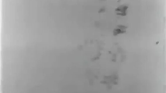 Сергей Колесников VK Видео