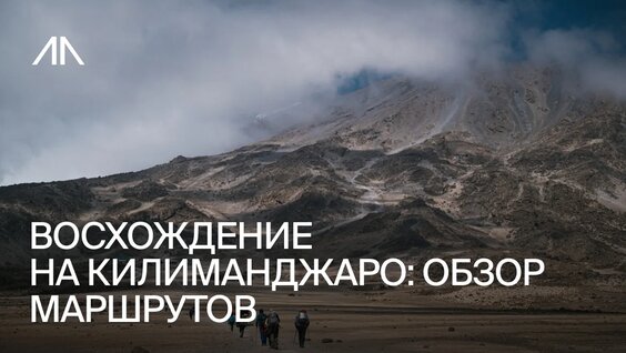 Сергей Ковалев VK Видео