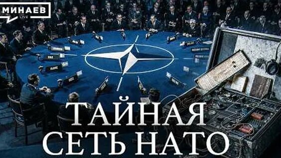 Сергей Минаев VK Видео