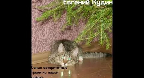 Сергей Шнуров YouTube