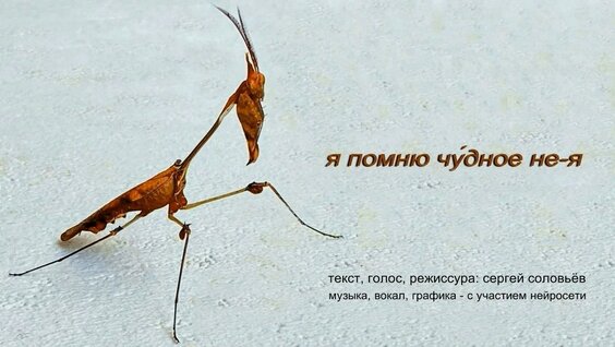 Сергей Соловьёв YouTube