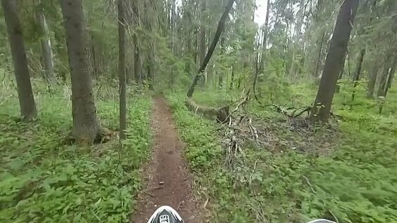 Сергей Сысоев VK Видео
