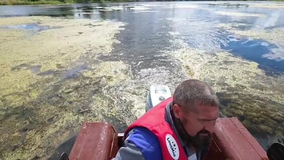 Сергей Жуков VK Видео