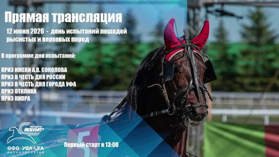 Северный флот VK Видео