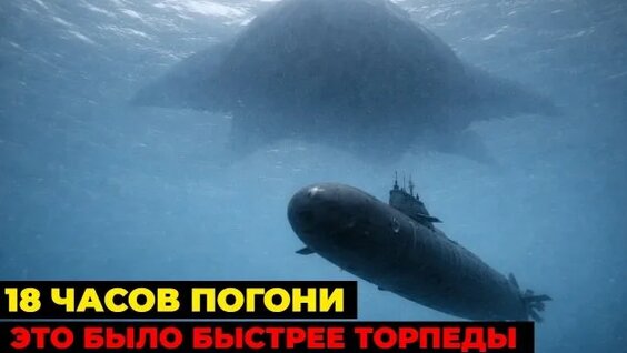 Северный флот Rutube