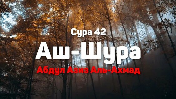 Шура VK Видео