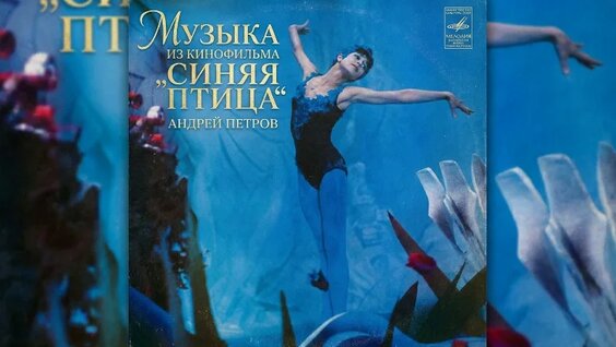 Синяя птица VK Видео