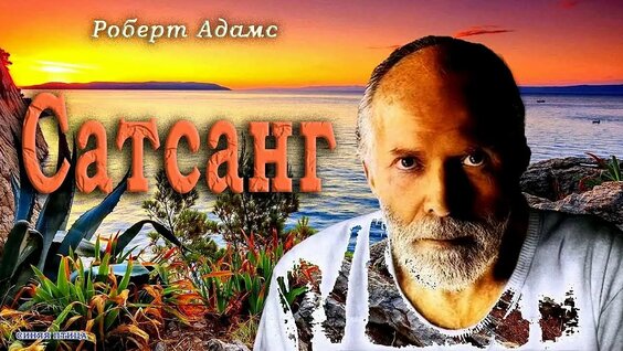 Синяя птица VK Видео