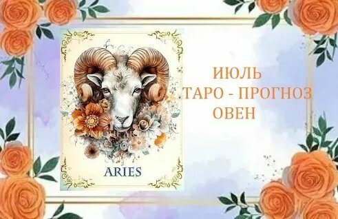 Синяя птица VK Видео