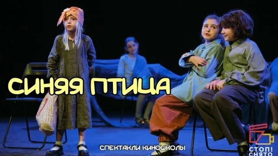 Синяя птица Rutube