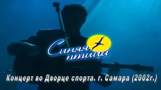 Синяя птица VK Видео