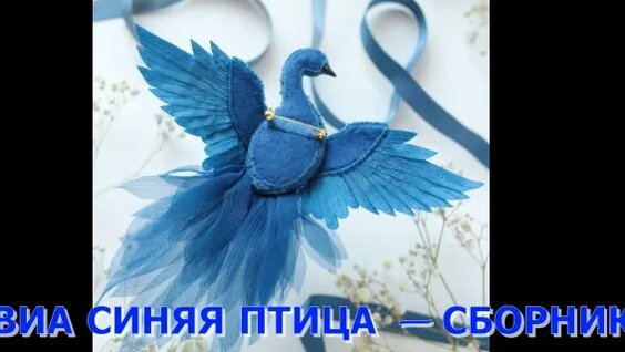 Синяя птица VK Видео