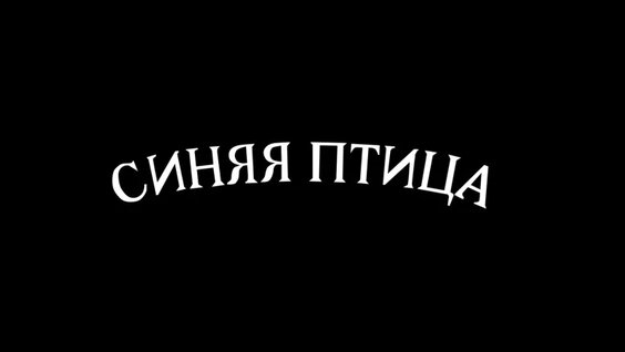 Синяя птица VK Видео