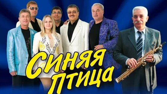 Синяя птица VK Видео