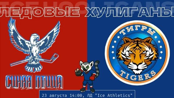 Синяя птица VK Видео