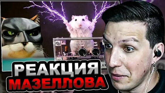 Сливки Шоу VK Видео